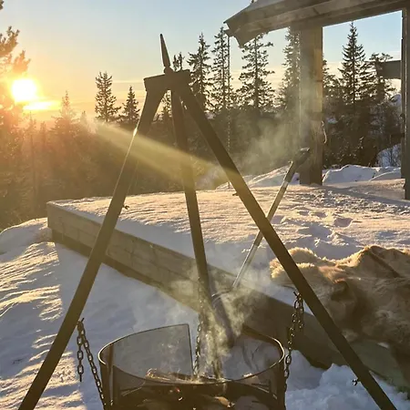 Amazing In With Sauna Holiday home Eggedal